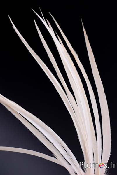 Héron - 12-15 cm - blanc-crème naturel